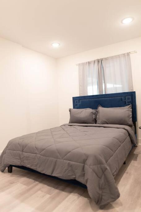 Platinum Palace 1Br 1Ba - Central Dallas Stay 외부 사진